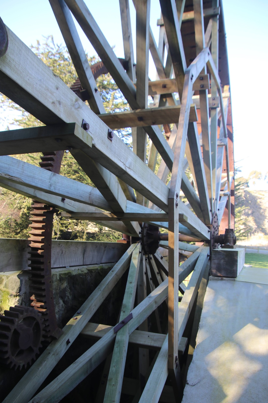 2020 08 Oamaru 5544